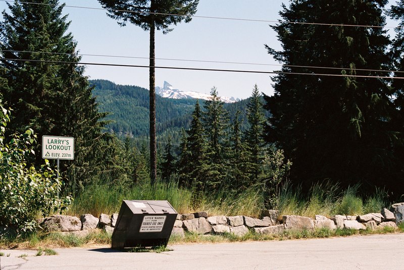 A roadside lookout with evergreen trees and a distant snow-covered peak.