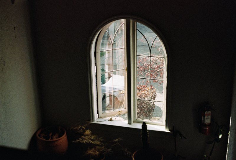 Sunlight falls through an arched window onto potted plants.