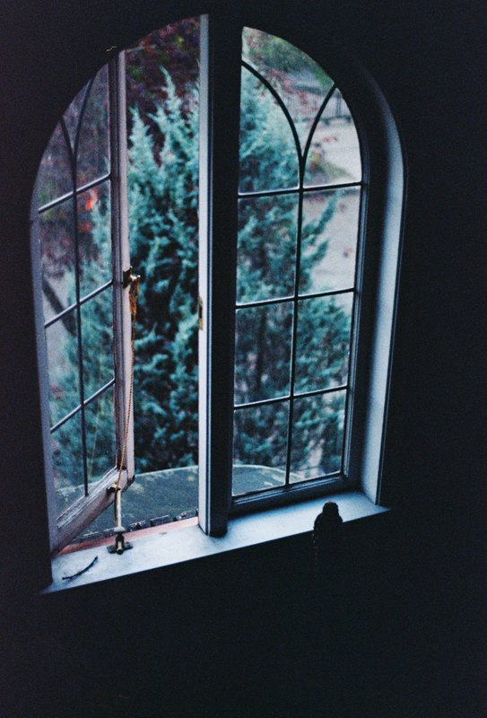 Trees seen through an open arched window.