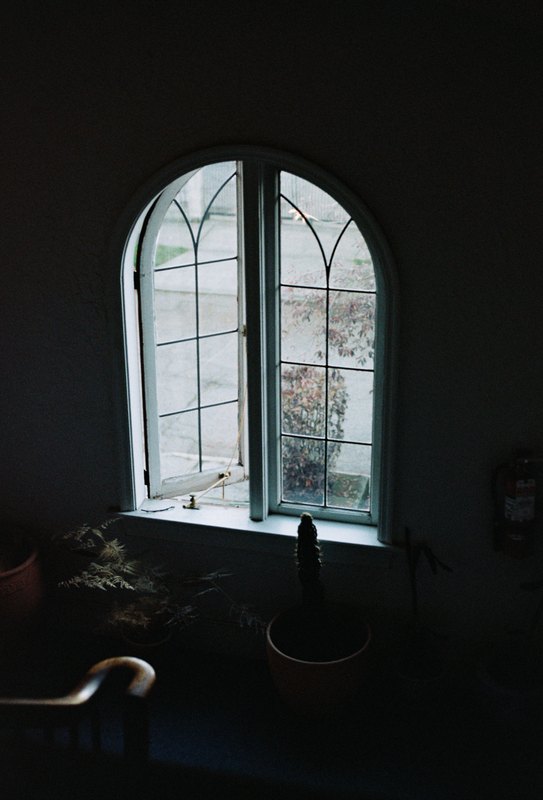 An arched window lights plants in a dark room.